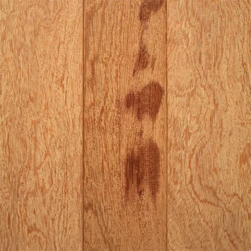 Common Species of Wood used as Trailer Decking